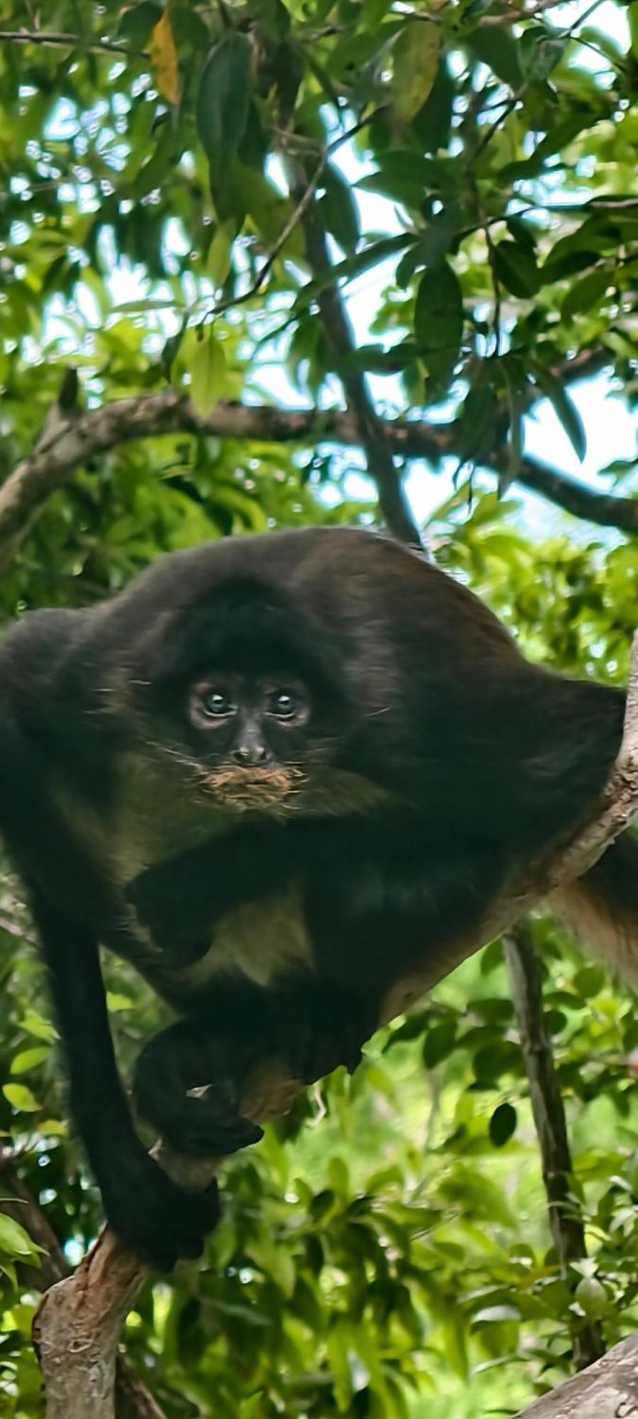 Energy Holistic Ranch Hotel Tulum