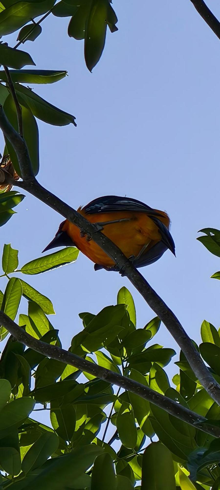 Hotel Energy Holistic Ranch Tulum