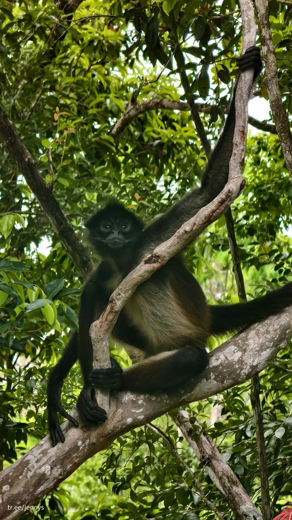 Energy Holistic Ranch * Tulum