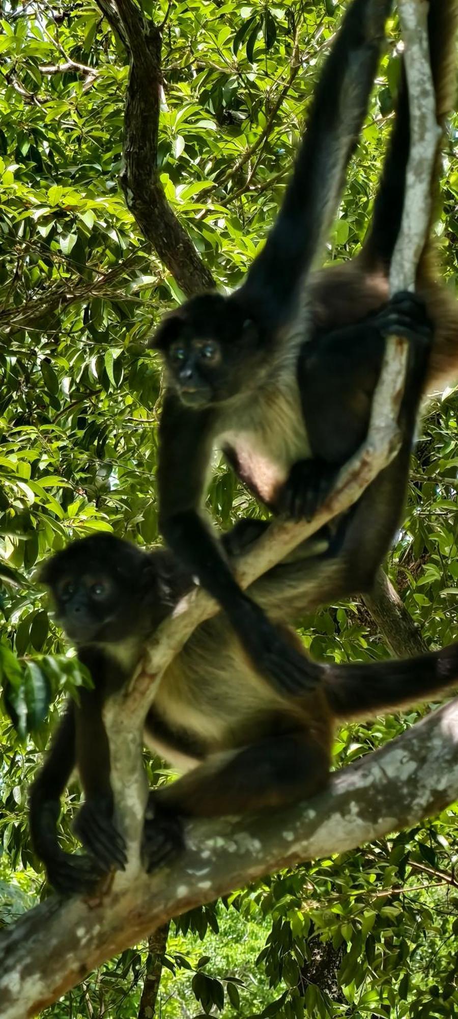 Energy Holistic Ranch Hotel