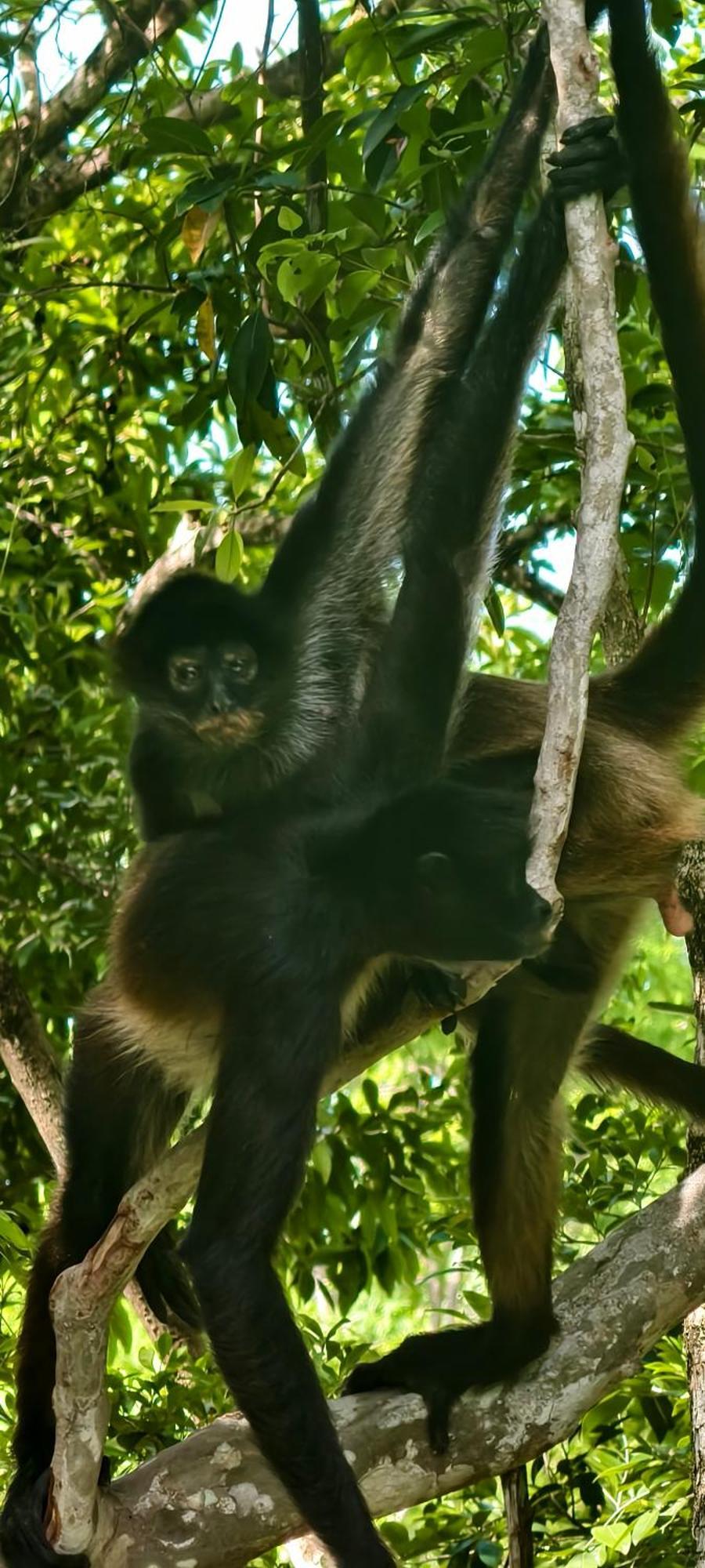 Hotel Energy Holistic Ranch