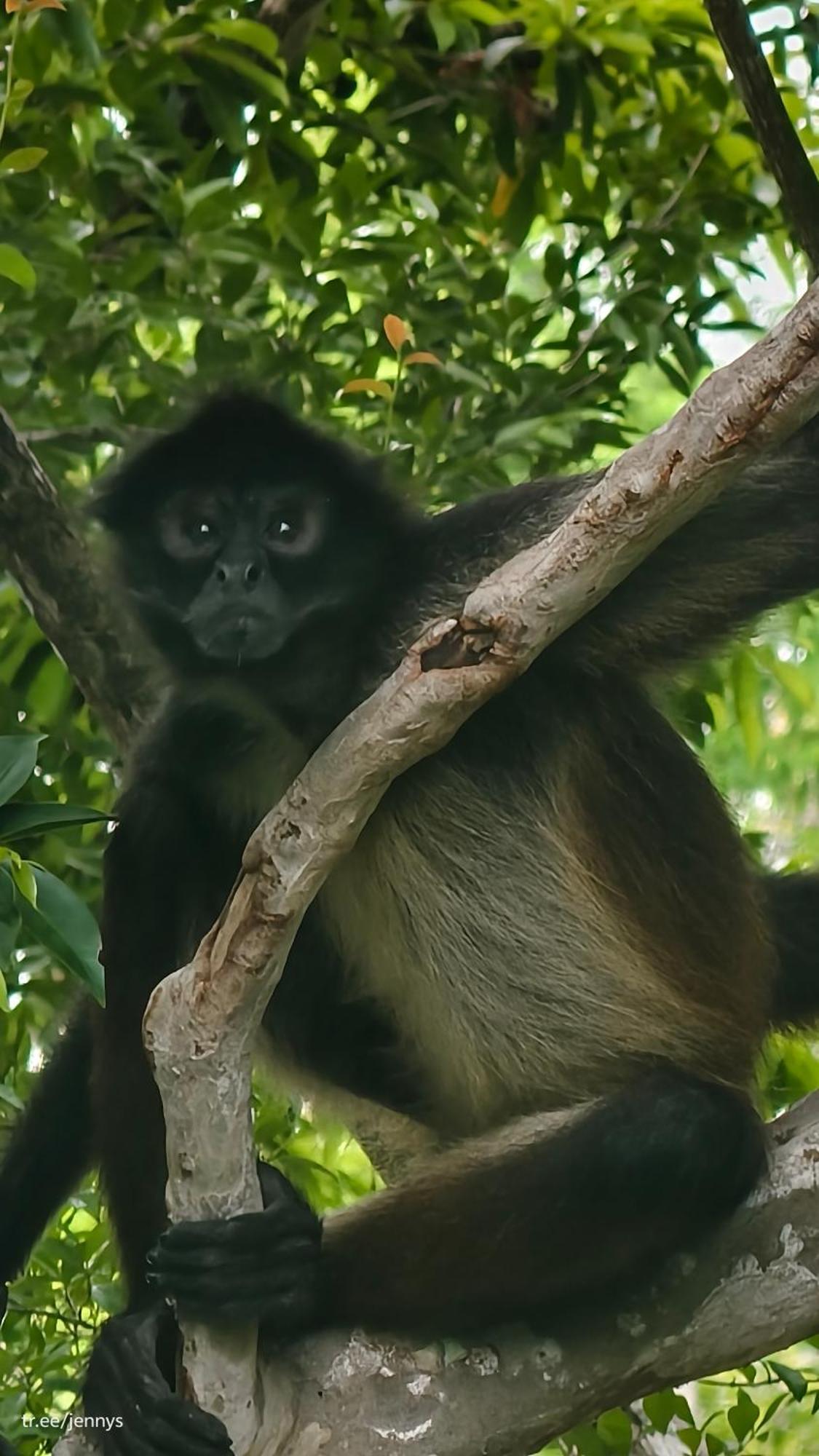 Energy Holistic Ranch Hotel Tulum