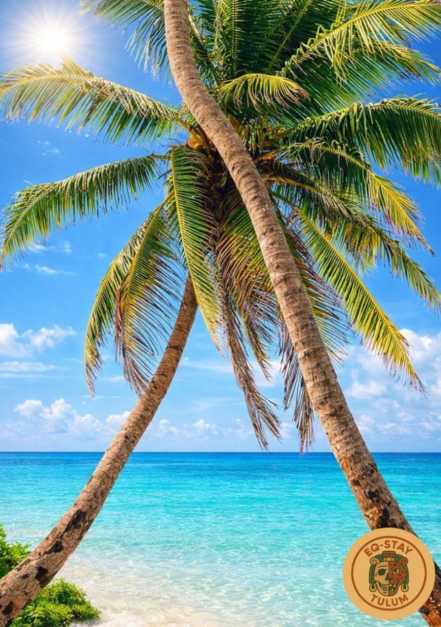 Jungle Guardian - Rooftop Pool & Club In Zona Hotelera *