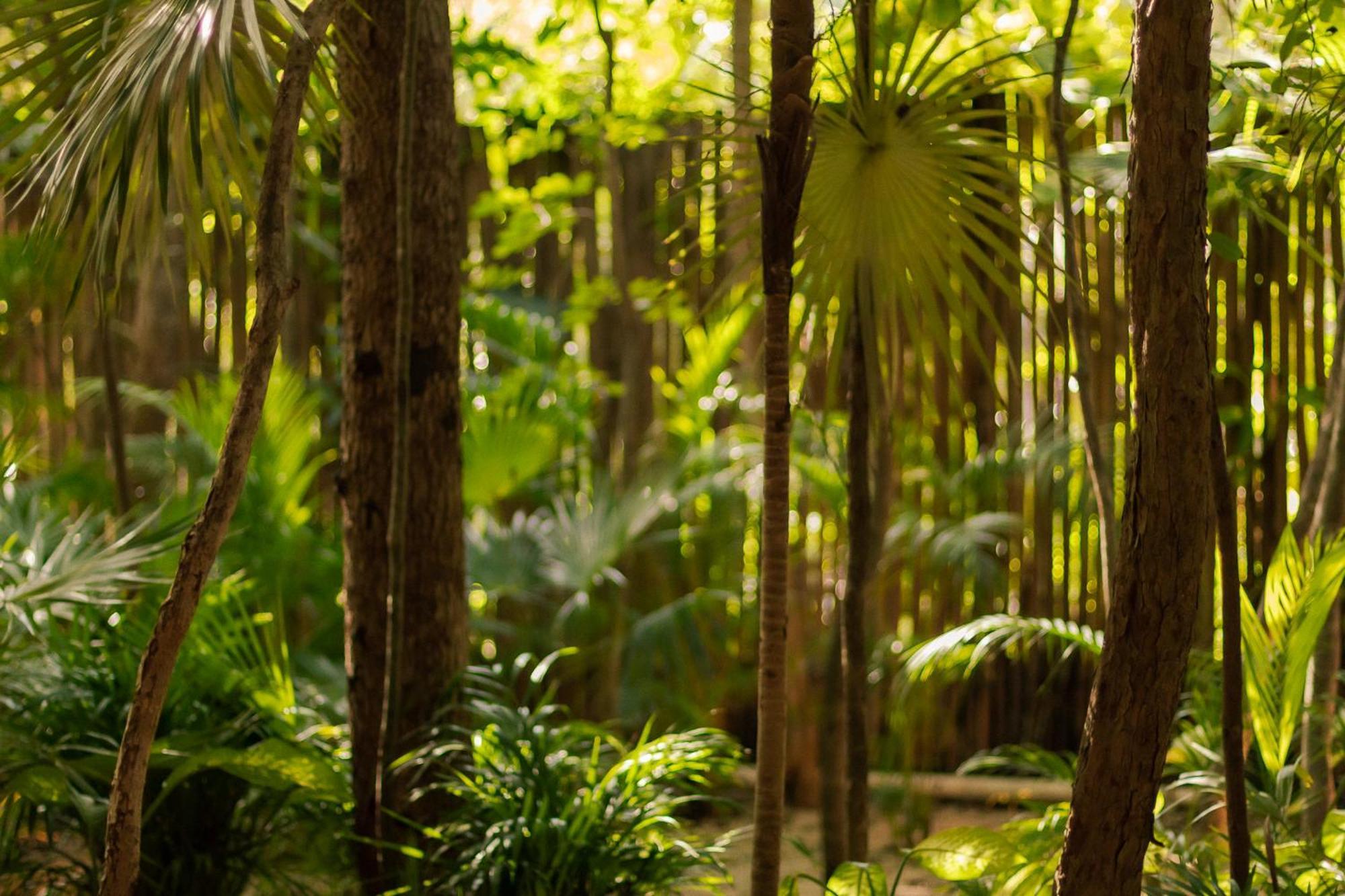 Miraluna Penthouse Tulum * Tulum