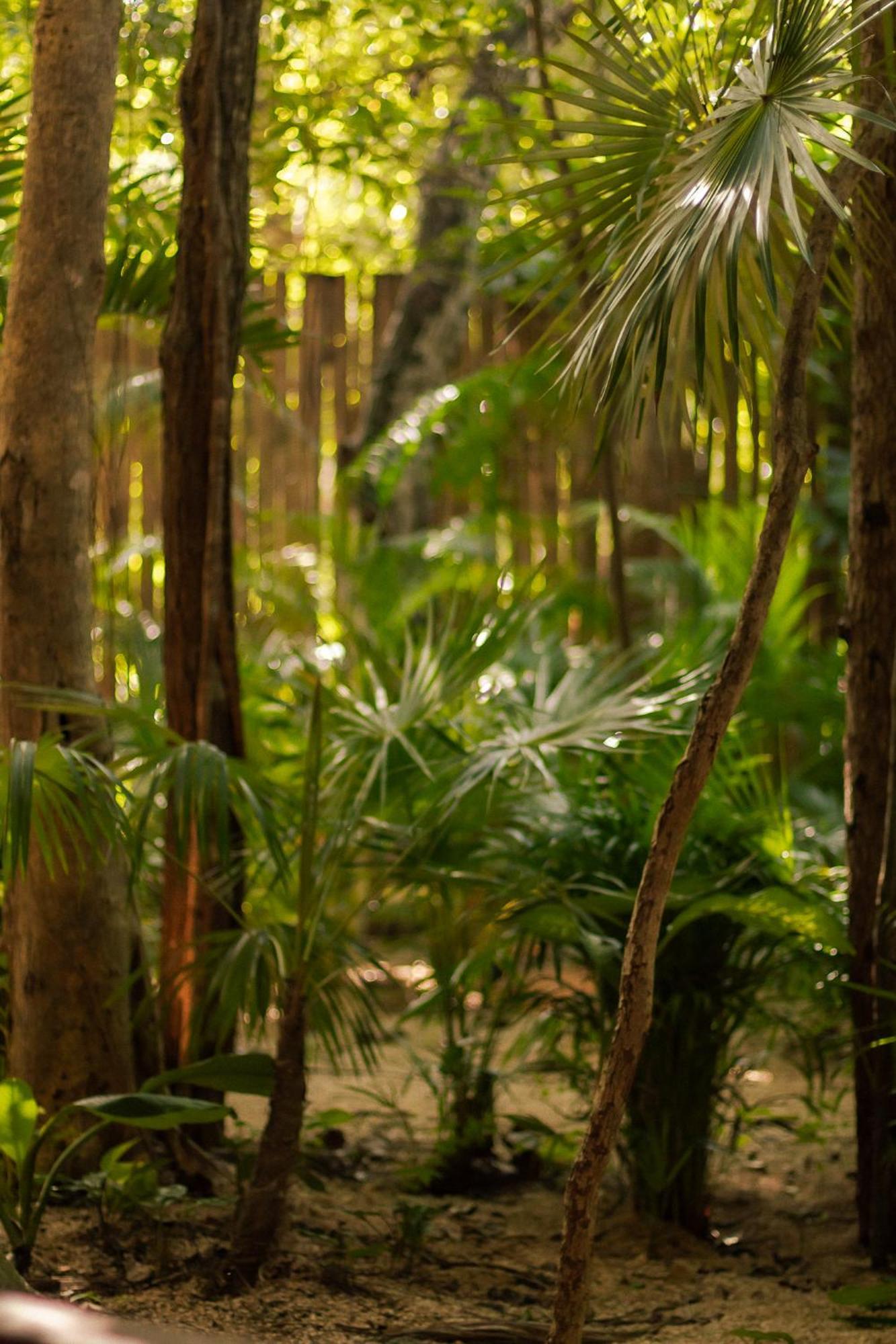 Miraluna Penthouse Tulum *