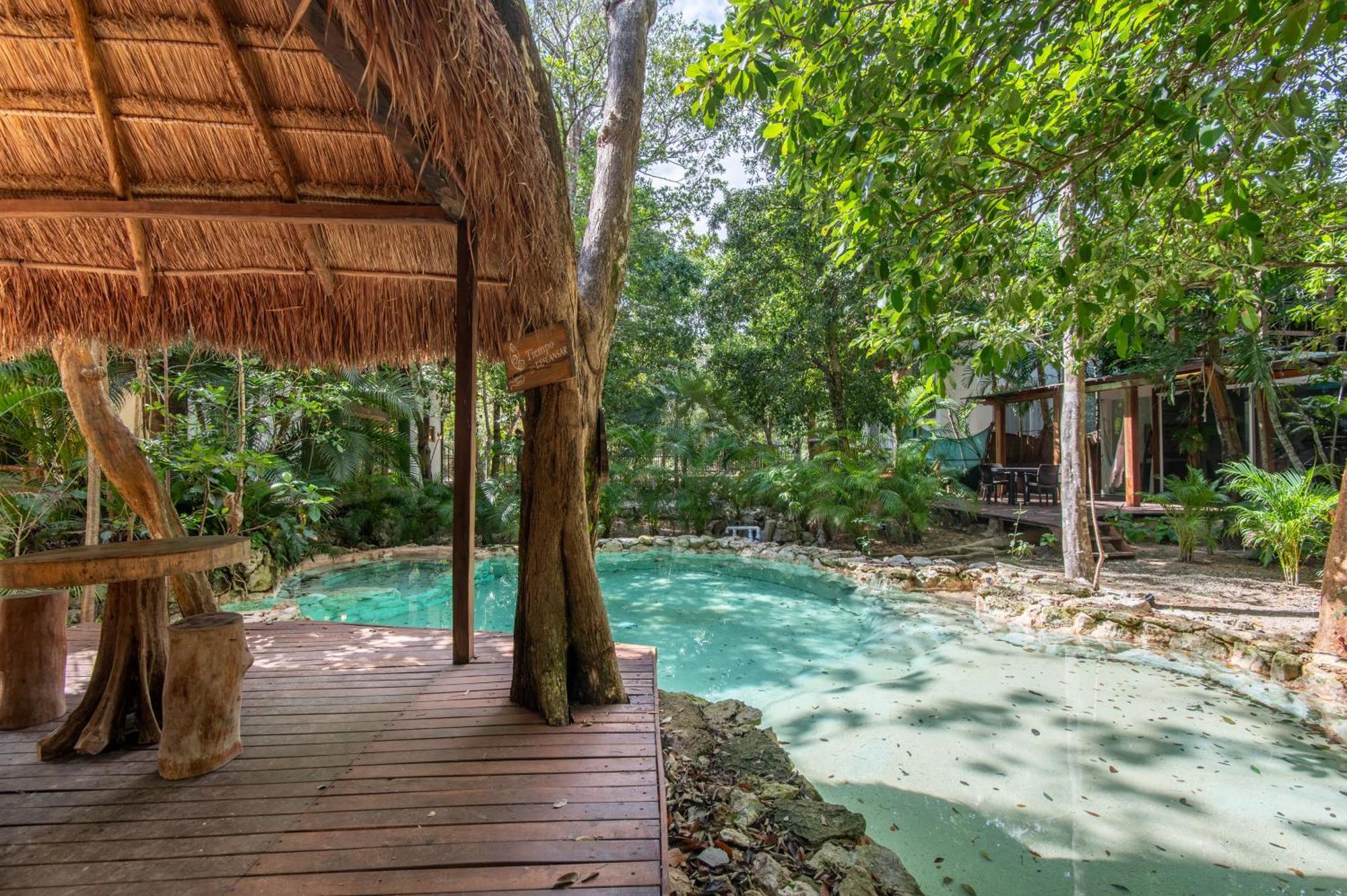 Private Jungle With Full Kitchen & Pool Access * Tulum