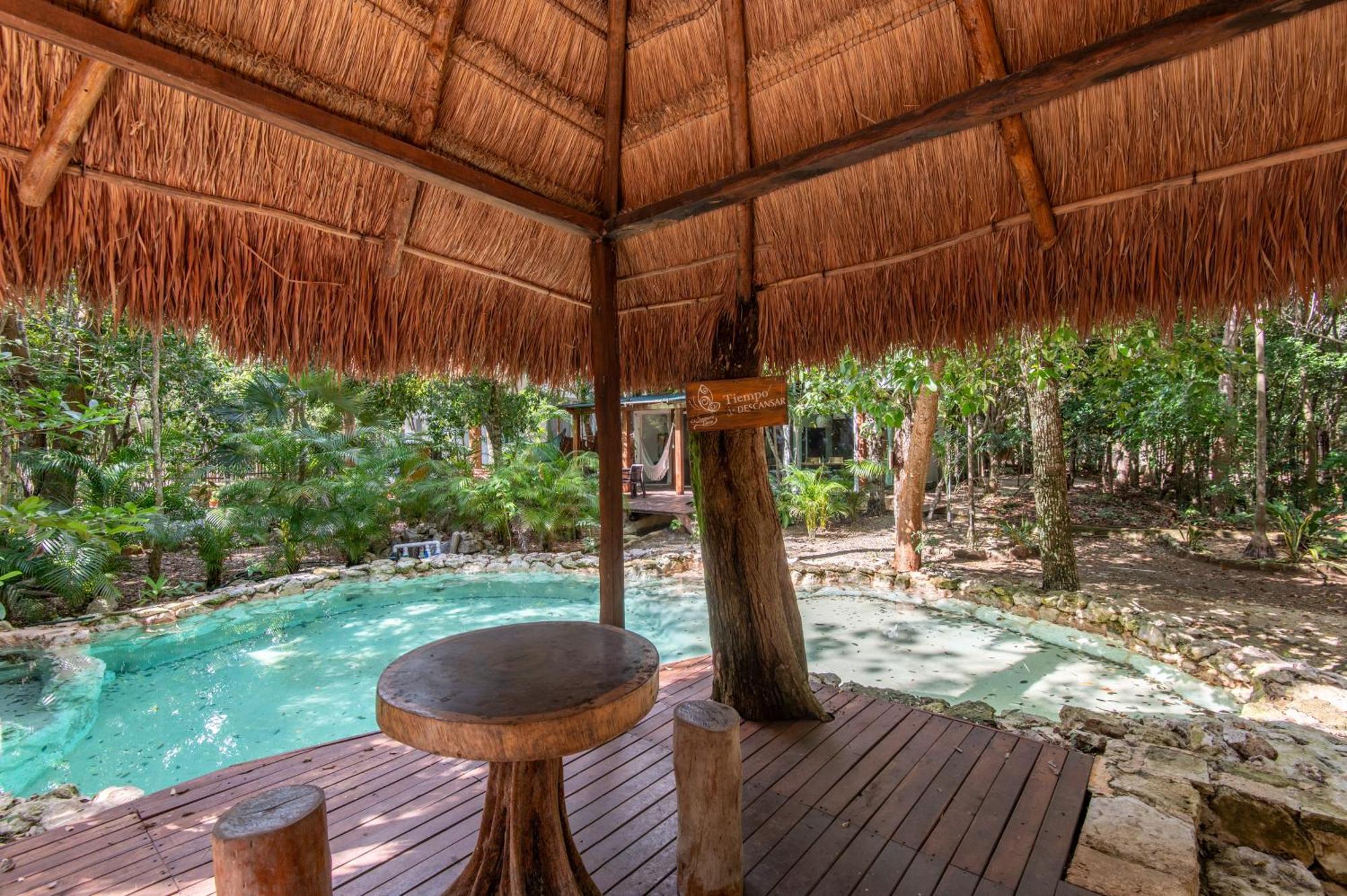 Private Jungle With Full Kitchen & Pool Access Tulum