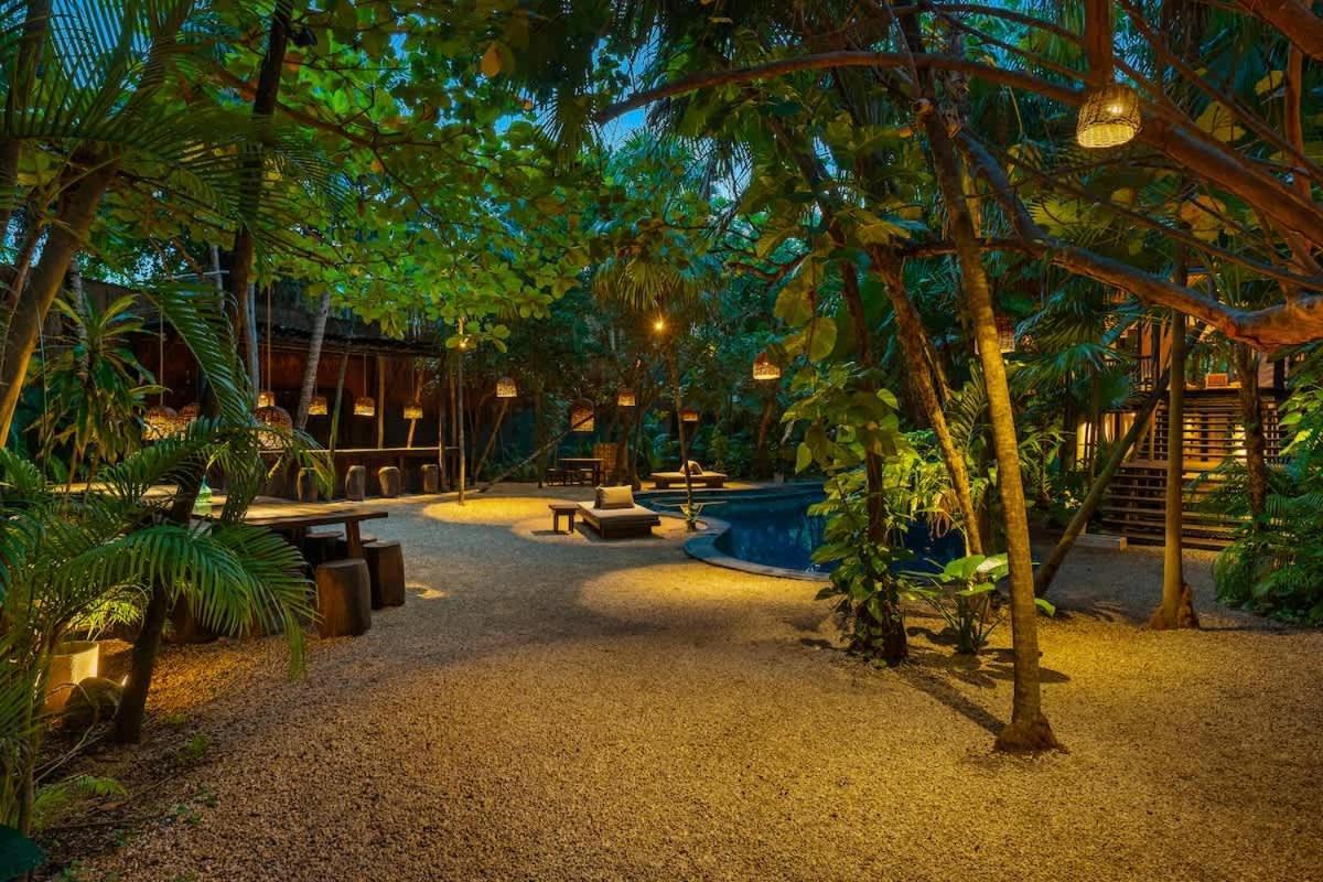 Tree House - Access -
