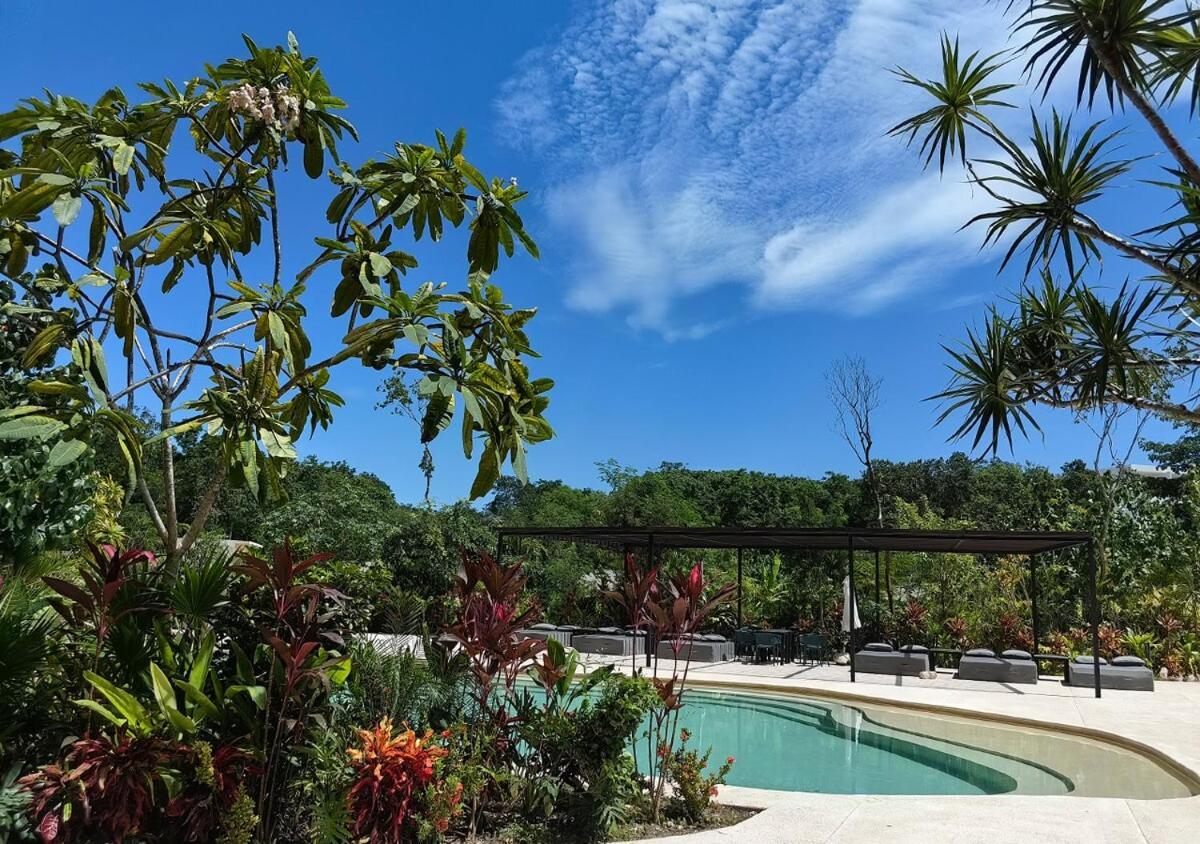Apartment 1br Private Pool Jungle View Shuttle Tulum