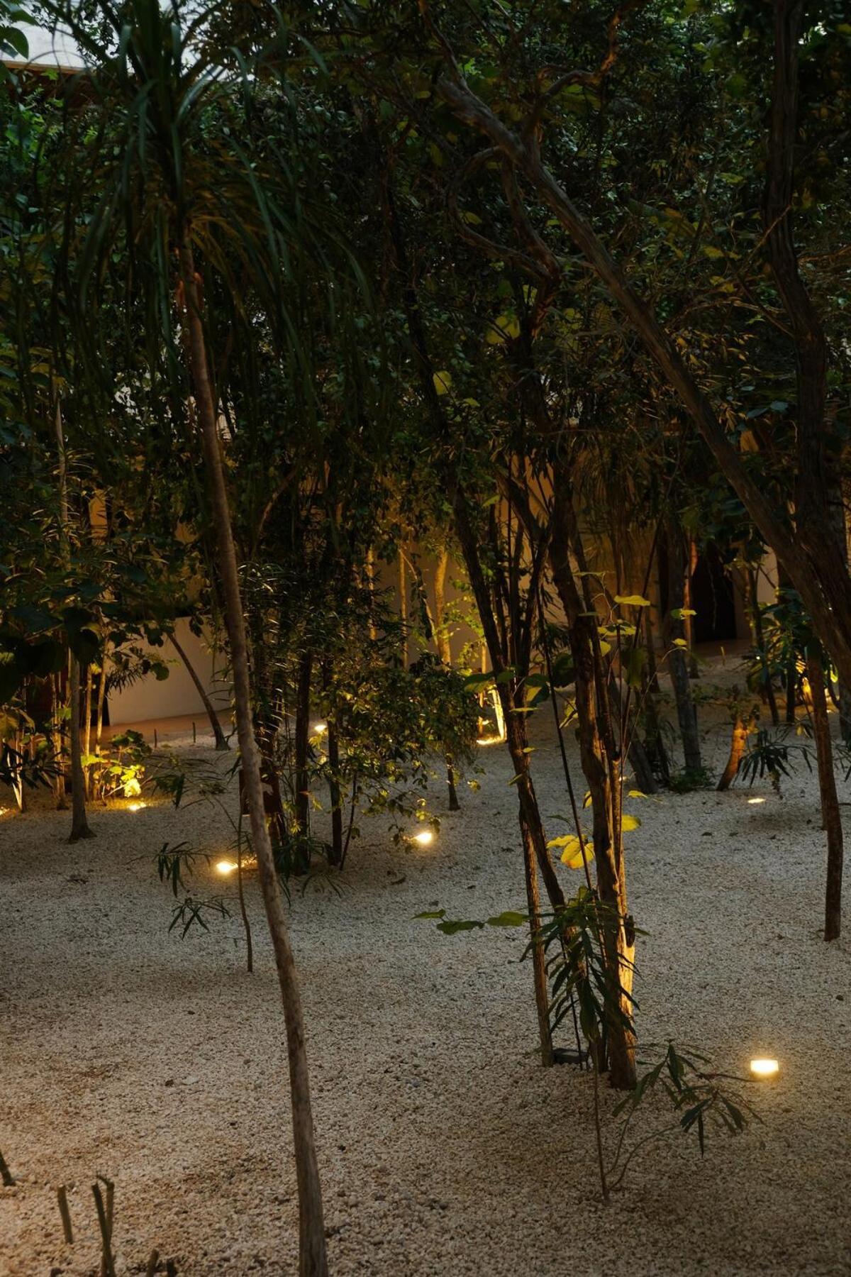 Apartamento Sky Pool - 4 Guests - Near The Tulum