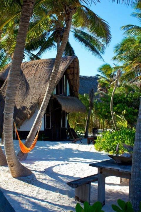 Playa Selva Alojamento