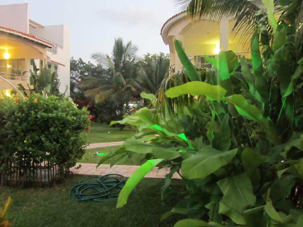 Blueberry Luxury Apartment Tulum