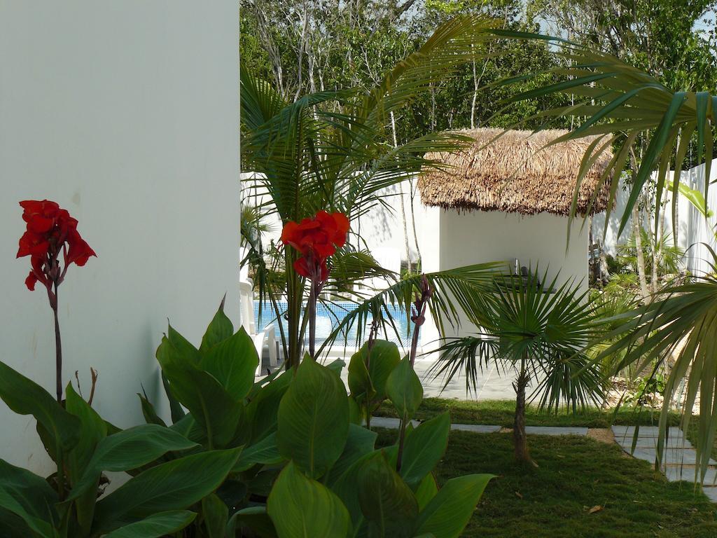 La Veleta - Robinson Apartment