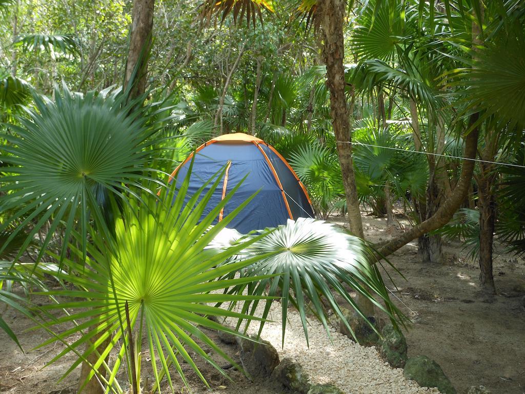 Campsite Turquesa Jungle Camping
