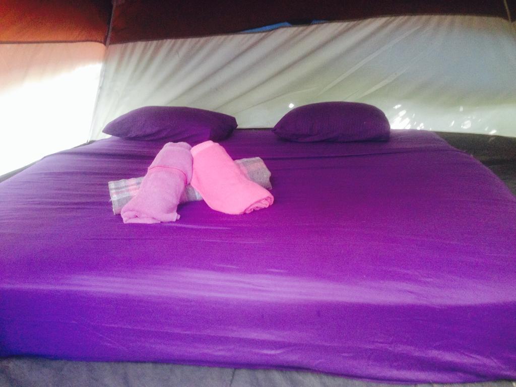 Campsite Turquesa Jungle Camping *