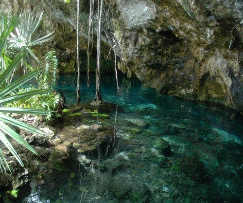 Acuario Hotel Tulum