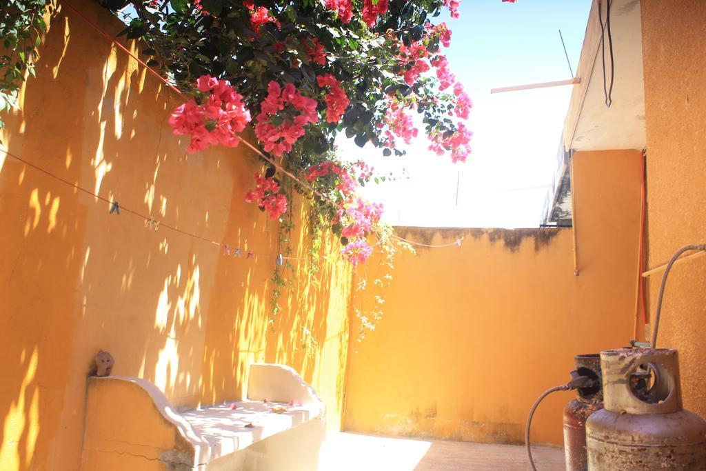 Casa Cotorro Adventures Holiday home Tulum