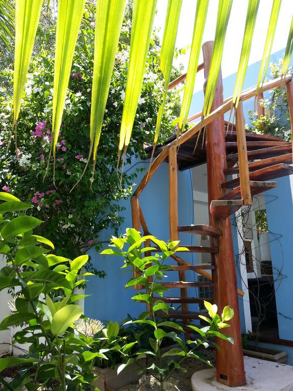 La Veleta - Robinson Apartment