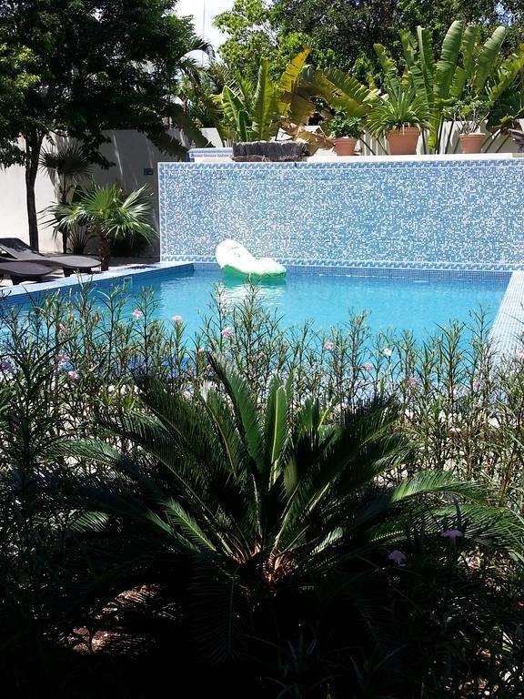 Apartment La Veleta - Robinson *