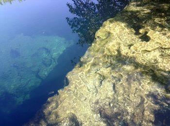 Hotel Cenote El Encanto *