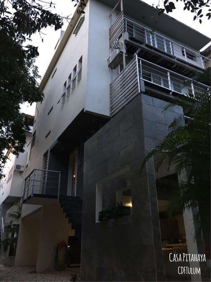 Casa Pitahaya