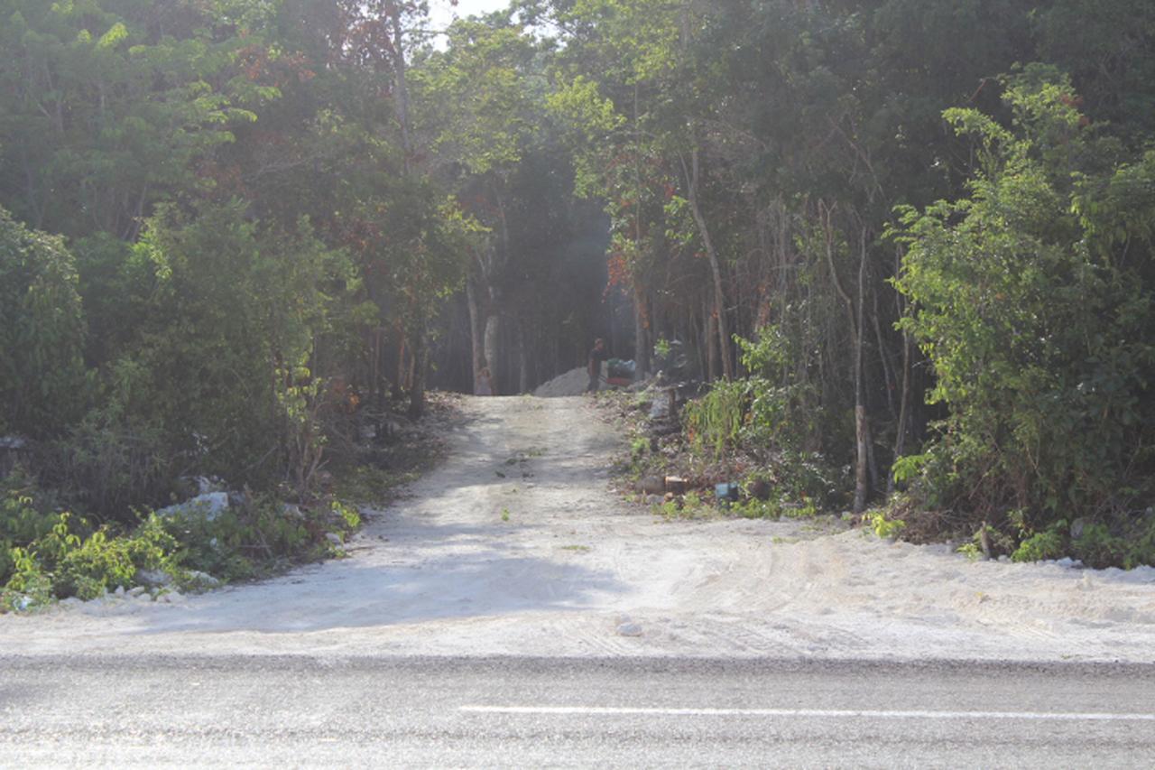 Stage One Camping Campsite Tulum