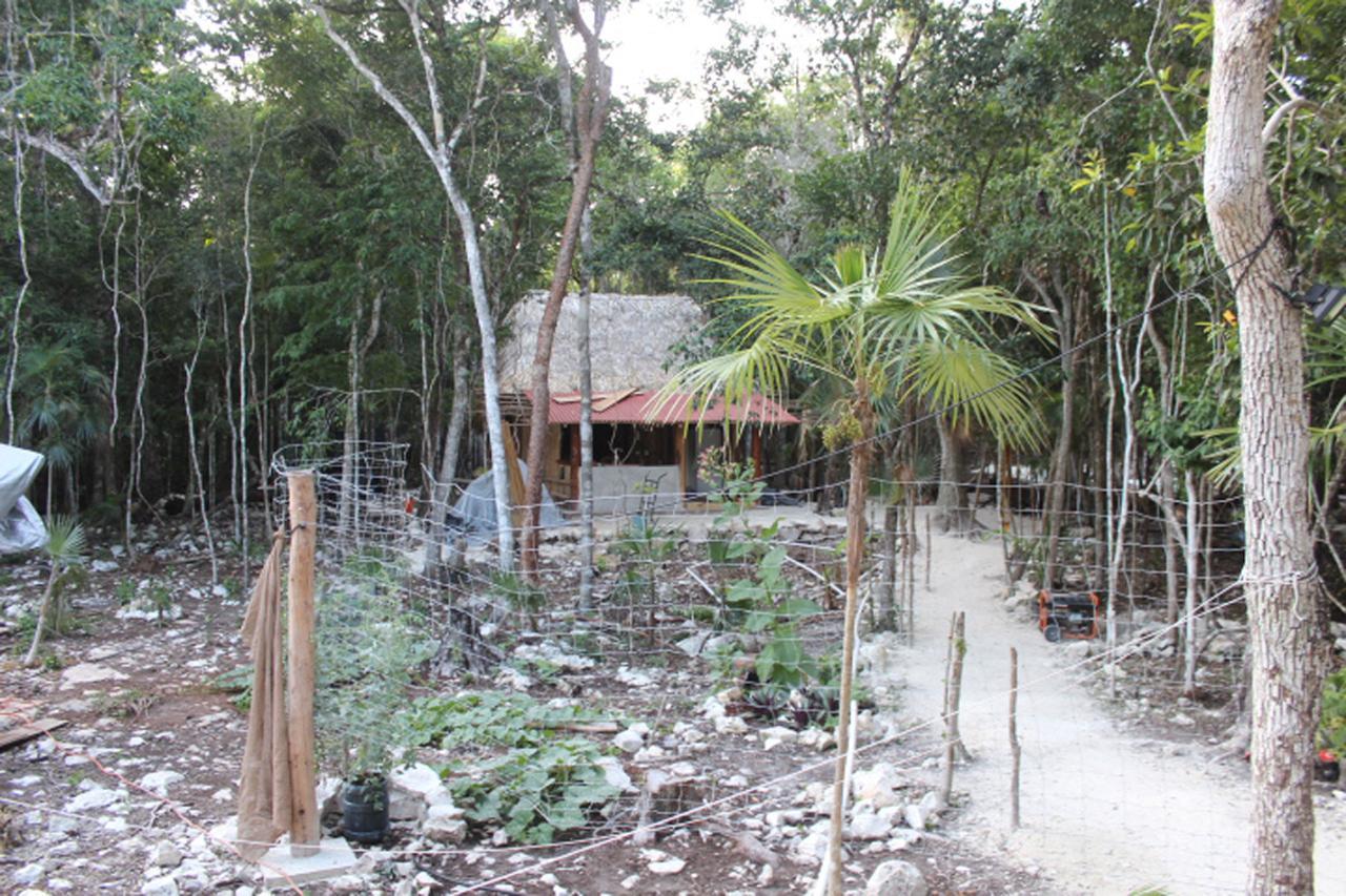 Stage One Camping Campsite Tulum