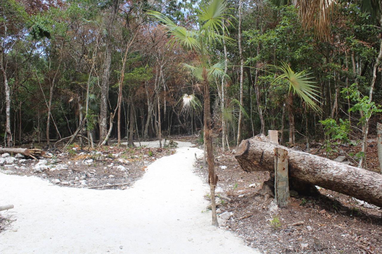 Stage One Camping * Tulum