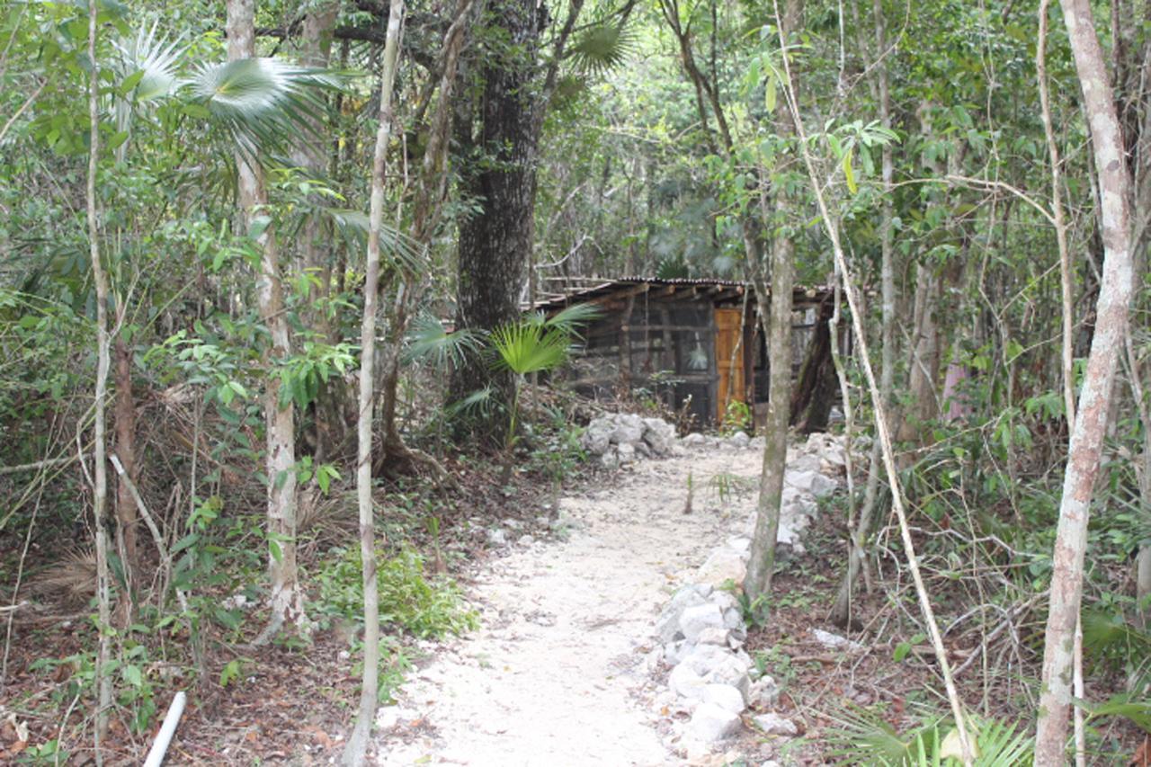 Stage One Camping Campsite Tulum