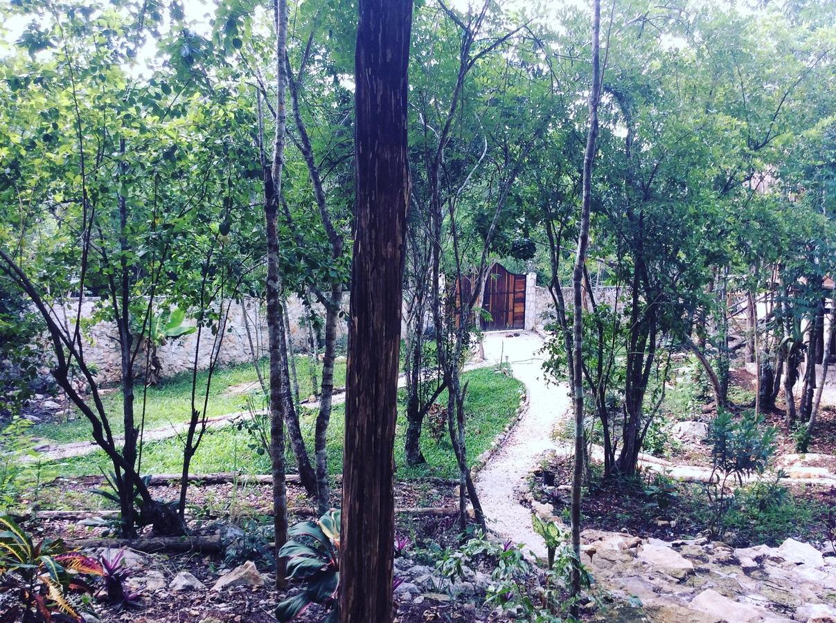 Bed & Breakfast Escarabajo Rojo Tulum