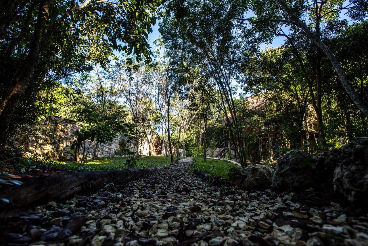 Escarabajo Rojo Bed & Breakfast Tulum