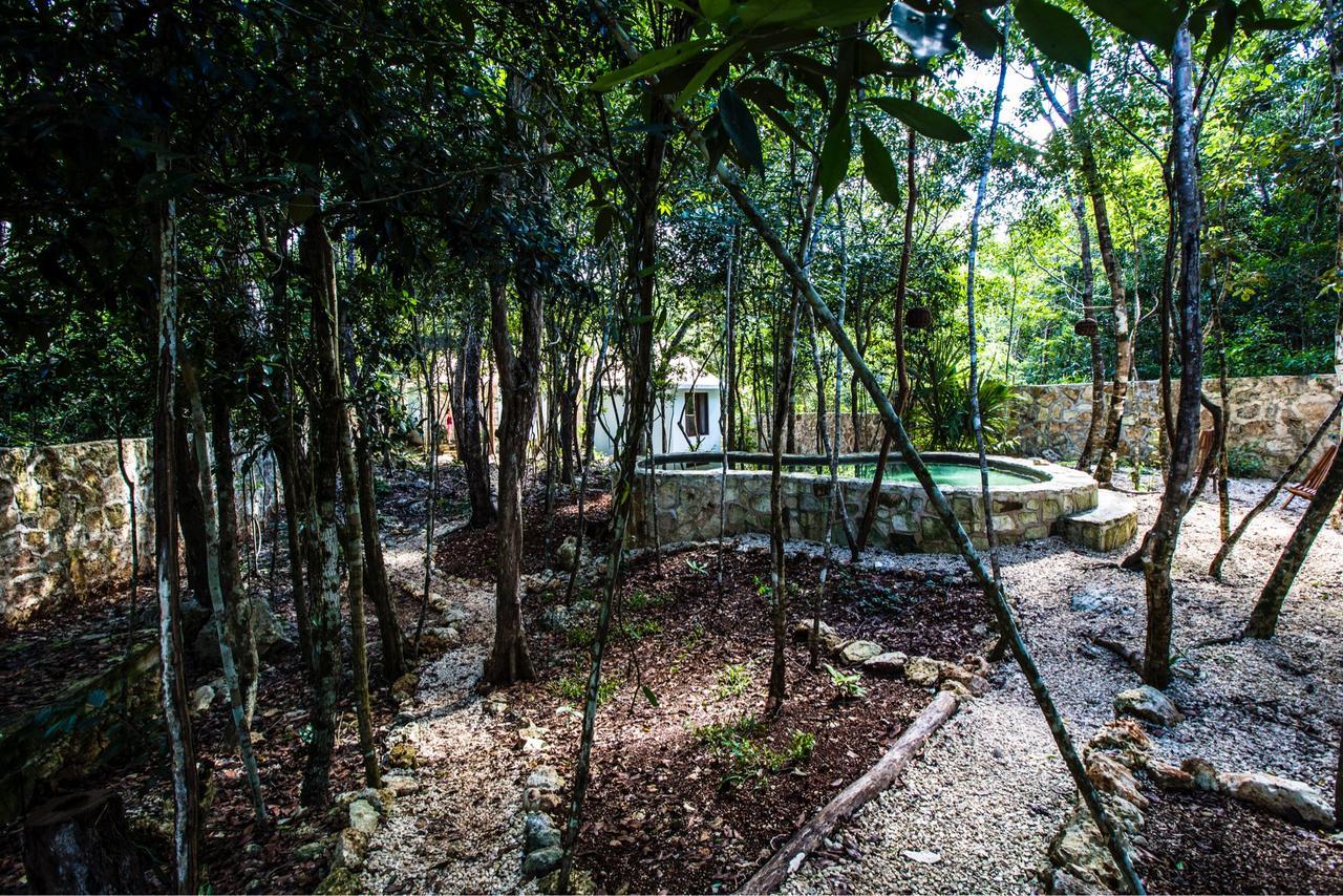 Escarabajo Rojo 3* Tulum