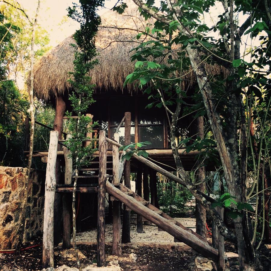 Bed & Breakfast Escarabajo Rojo