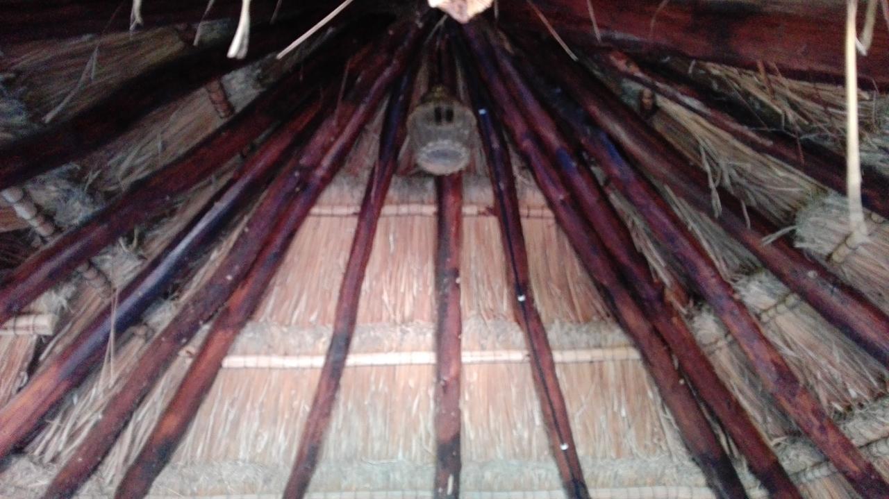 Alojamento Eco