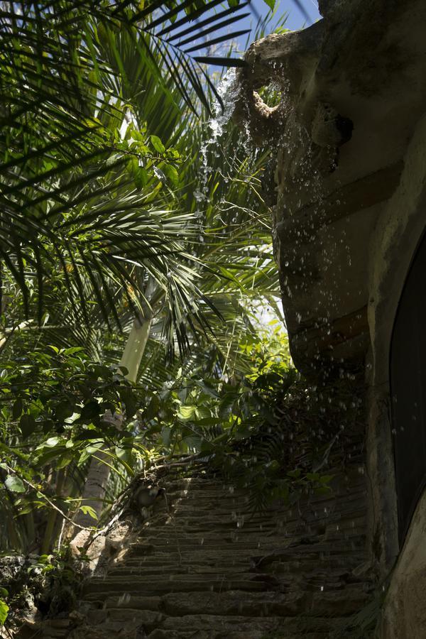 Acomodação com café da manhã  La Selva Mariposa *
