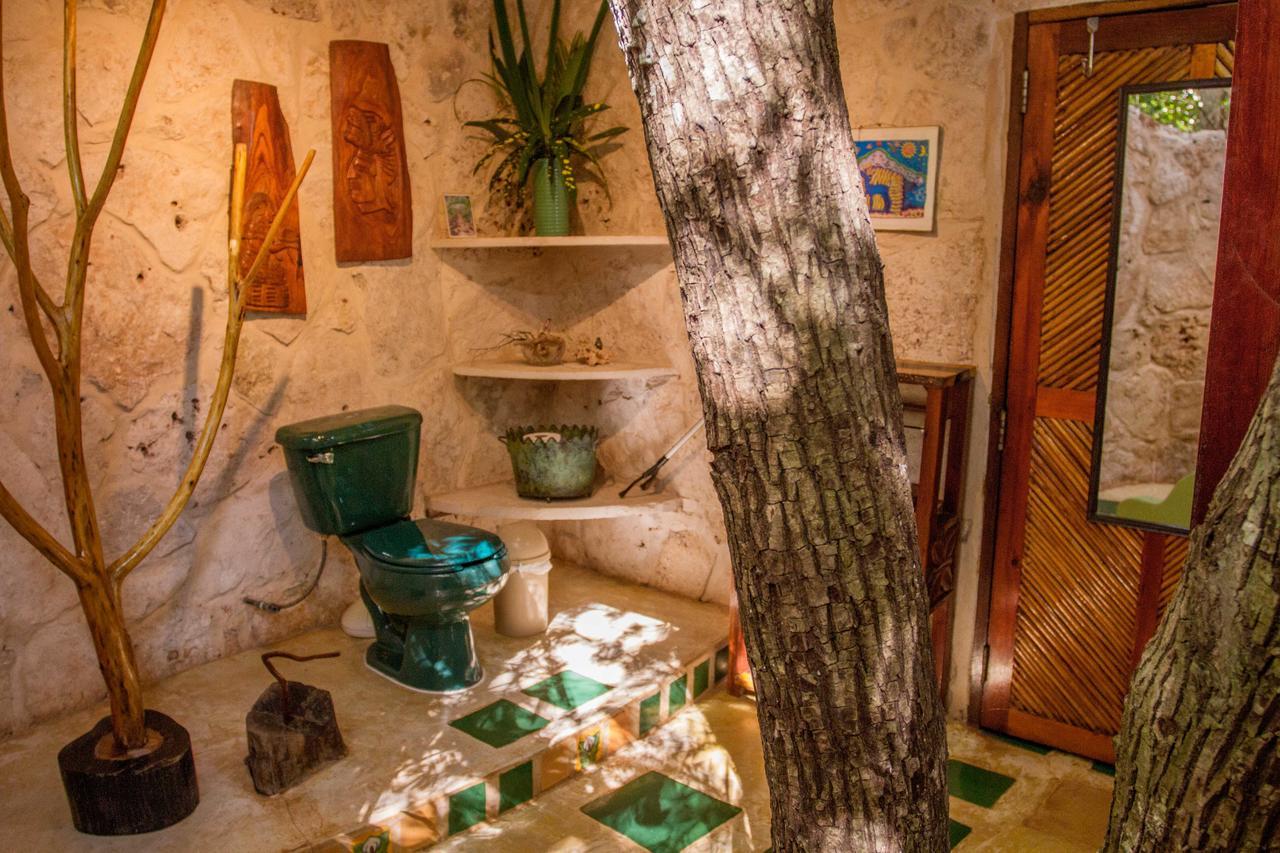 Acomodação com café da manhã  La Selva Mariposa *