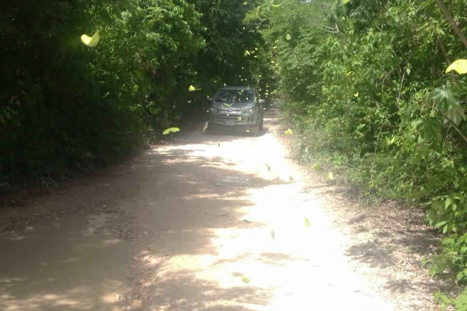 Casa Tzalam Selva Bed & Breakfast