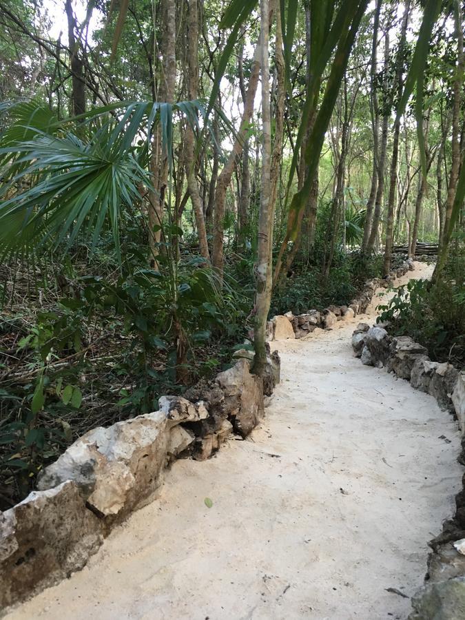 Casa Tzalam Selva Tulum