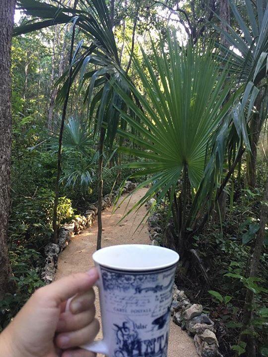 Casa Tzalam Selva Bed & Breakfast Tulum