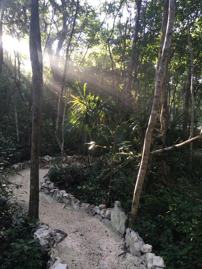 Casa Tzalam Selva Bed & Breakfast 4*