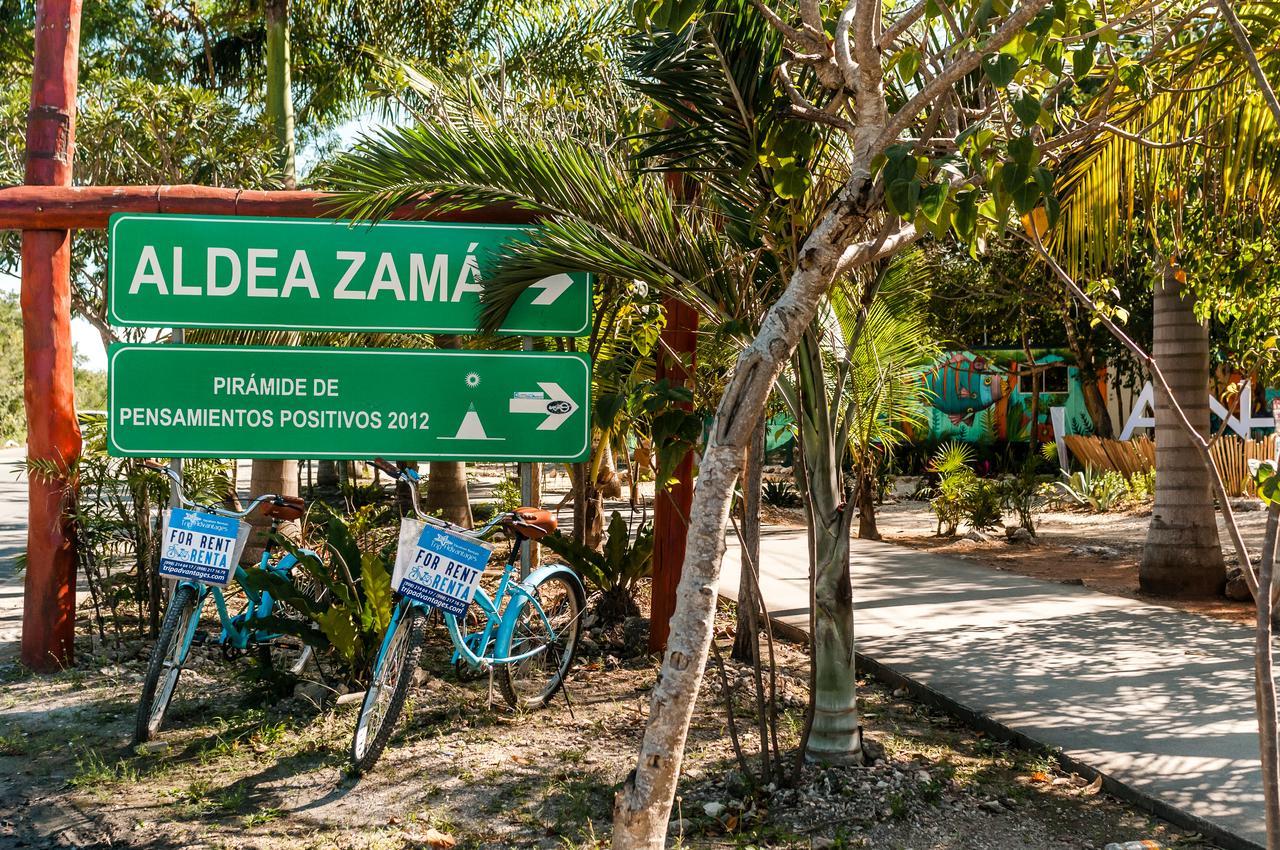 Azara Paradise