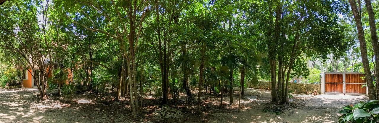 Flor De Mayo Tulum