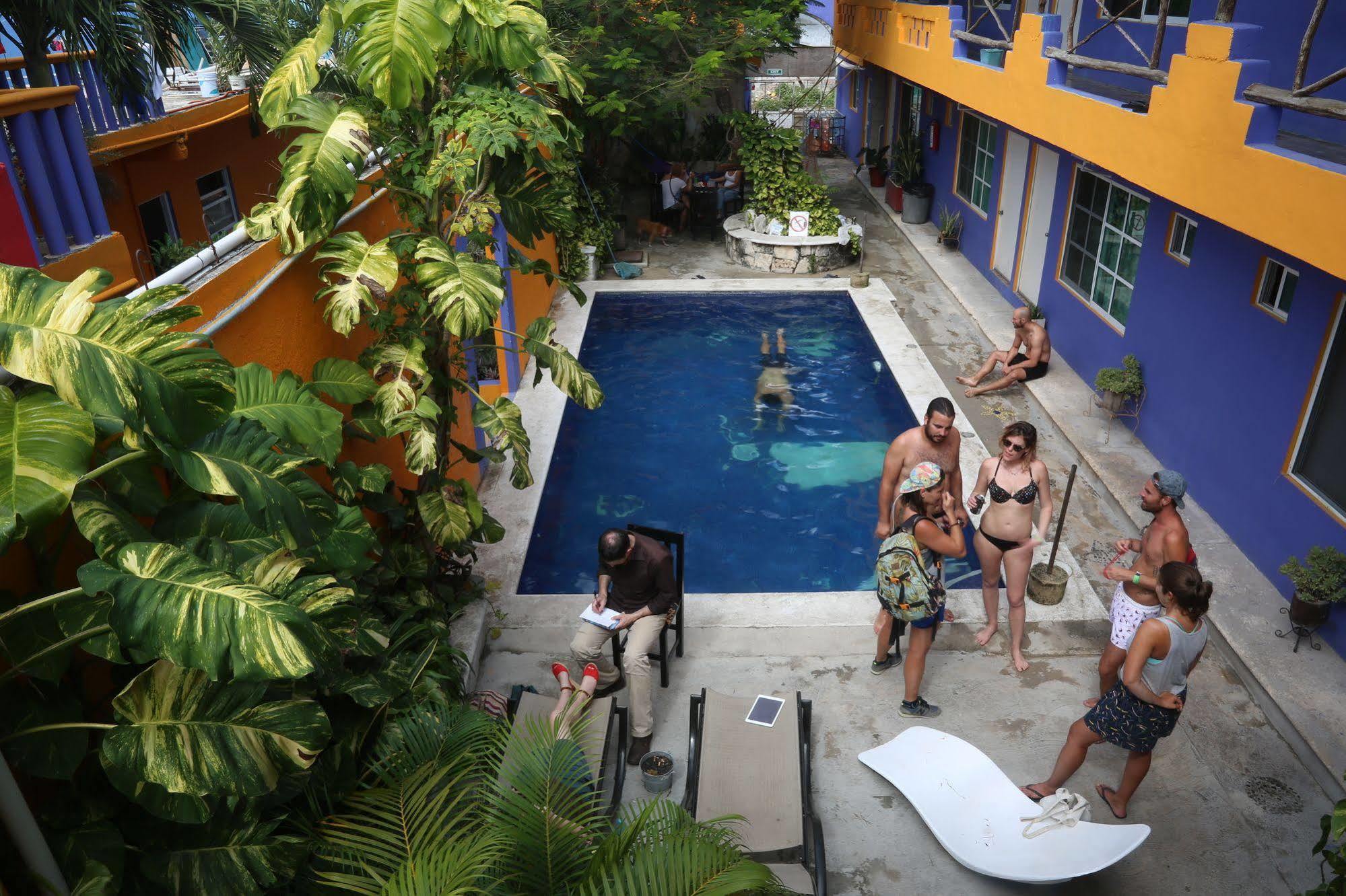Weary Traveler Hostel Tulum
