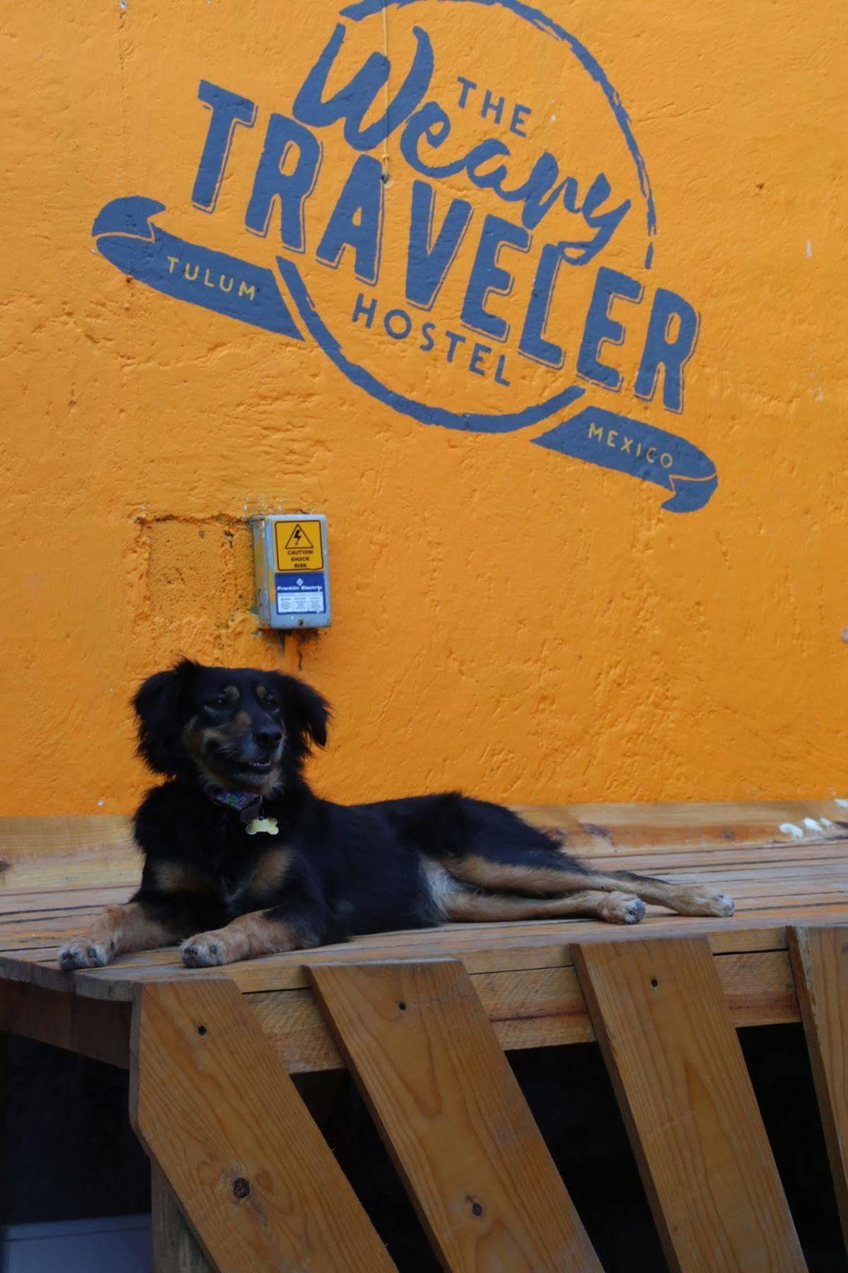 Weary Traveler Albergue