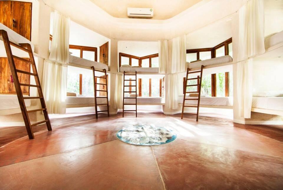 The Beehive Experience At Holistika Hostel Tulum