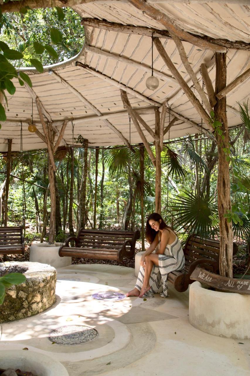 The Beehive Experience At Holistika Hostel Tulum