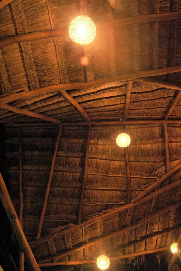 Hotel Boutique Terranova 3*