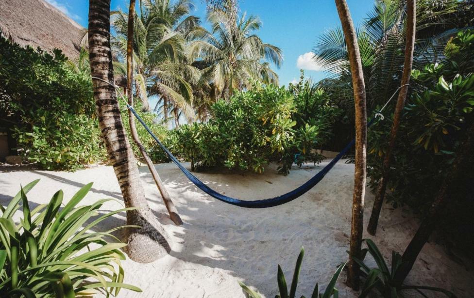 Palms House Holiday home Tulum