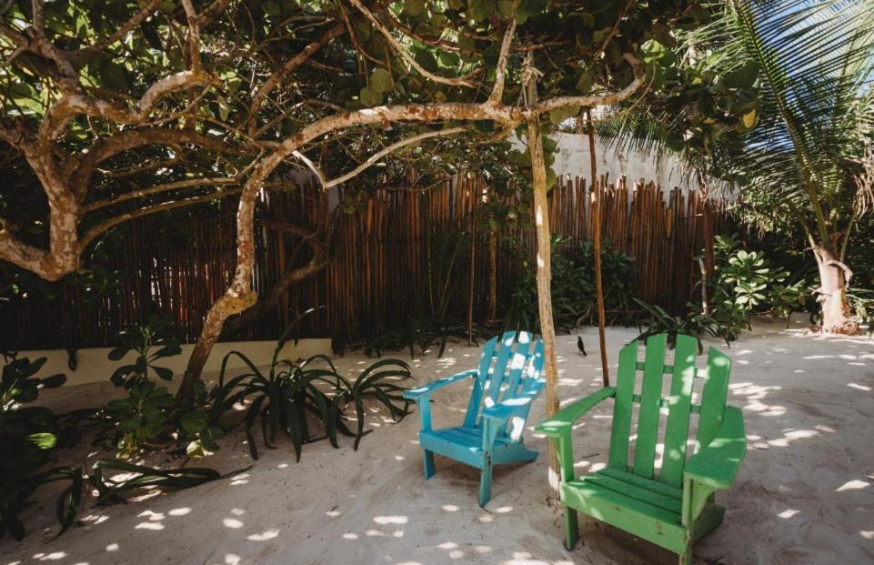 Palms House