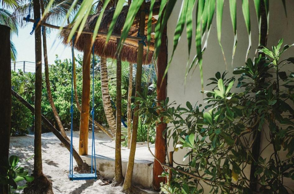 Palms House